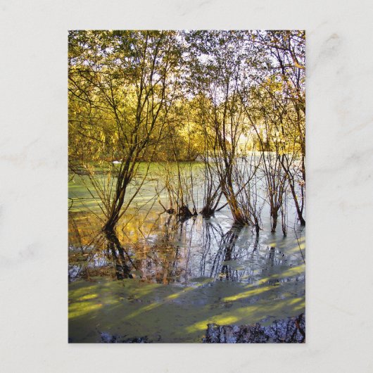 LAKES BRIEFKAART (Voorkant)