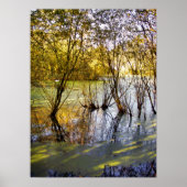 LAKES POSTER (Voorkant)