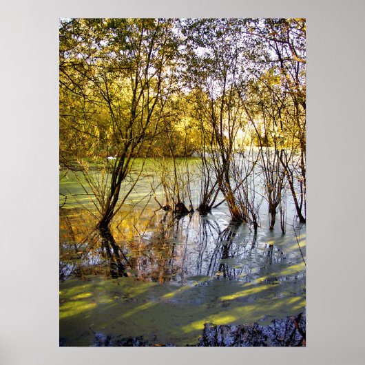 LAKES POSTER (Voorkant)