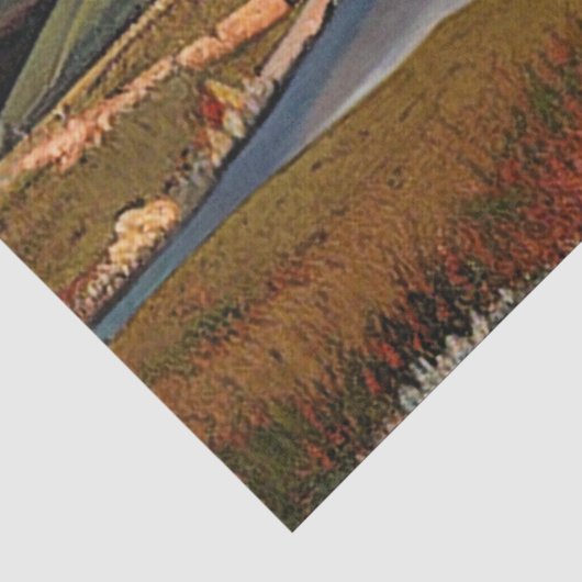 LAKES TISSUEPAPIER (Detail)