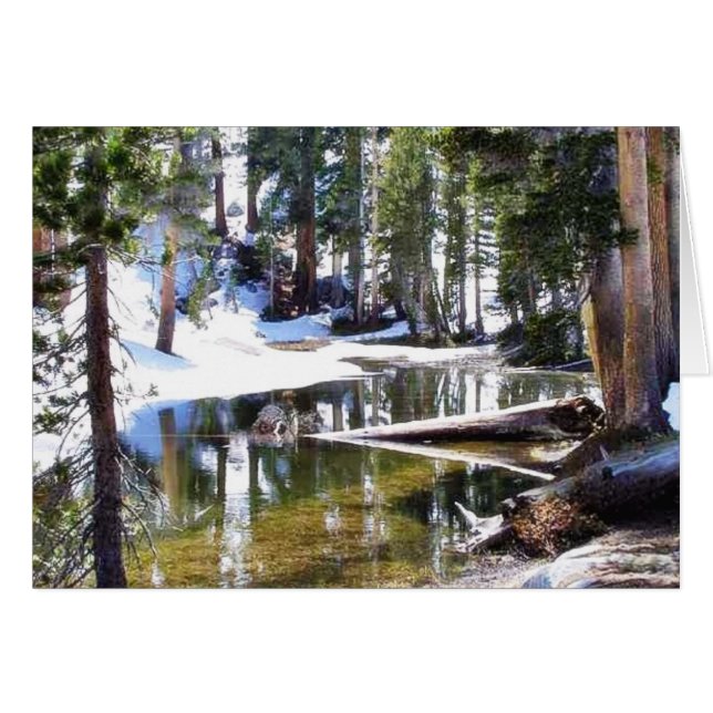 Lakes Trees Forrests (Voorkant Horizontaal)