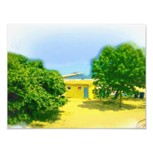 Lakeshores van Chicago Beach Foto Afdruk (Voorkant)