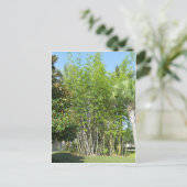 Lakeside Bamboo Briefkaart (Staand voorkant)