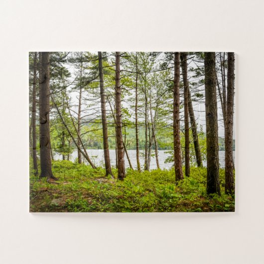 Lakeside Bossen in Maine Oversize Legpuzzel (Horizontaal)