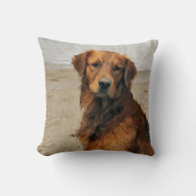 Lakeside Golden Retriever Art Gifts