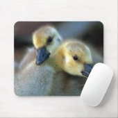 Lakeside Muismat (Met muis)