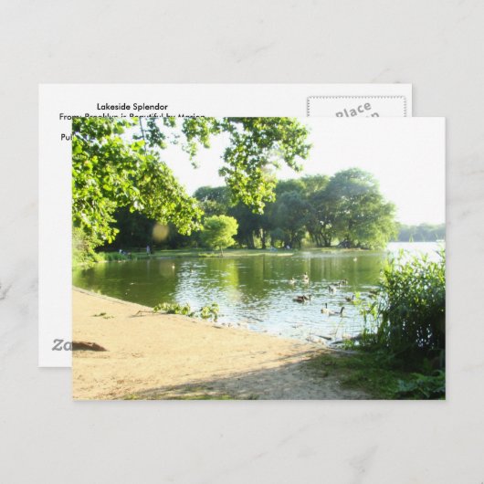 Lakeside Splendor Briefkaart (Voorkant / Achterkant)