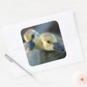 Lakeside Vierkante Sticker (Envelop)