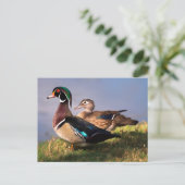 Lakeside, Wood Duck Briefkaart (Staand voorkant)
