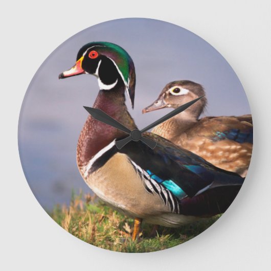 Lakeside, Wood Duck Grote Klok (Voorkant)