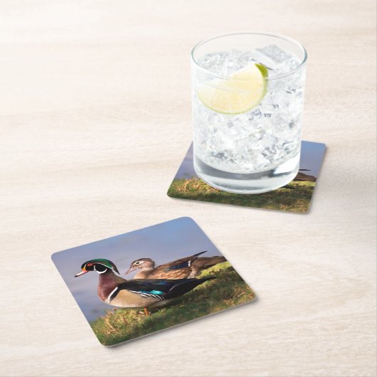 Lakeside, Wood Duck Kartonnen Onderzetters (Insitu)