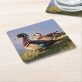 Lakeside, Wood Duck Kartonnen Onderzetters (Schuin)