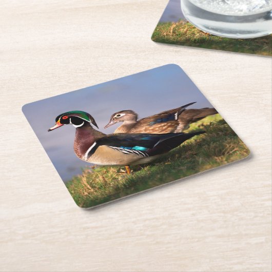 Lakeside, Wood Duck Kartonnen Onderzetters (Schuin)
