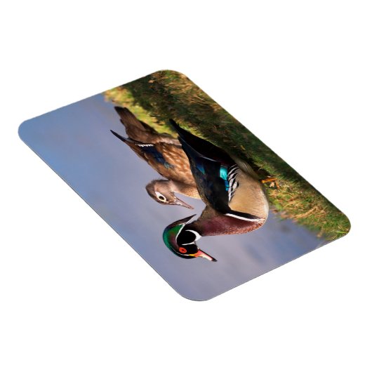 Lakeside, Wood Duck Magneet (Rechterzijde)