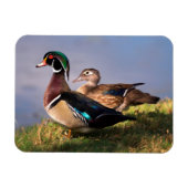 Lakeside, Wood Duck Magneet (Horizontaal)