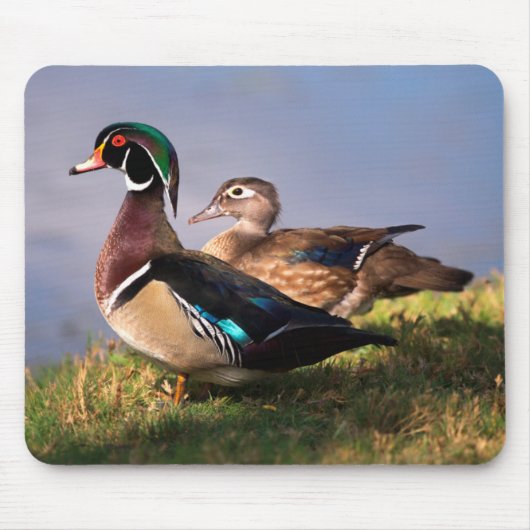 Lakeside, Wood Duck Muismat (Voorkant)