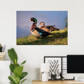 Lakeside, Wood Duck Poster (Thuiskantoor)