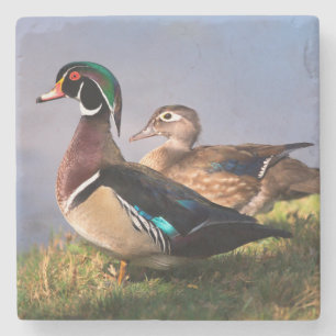 Lakeside, Wood Duck Stenen Onderzetter