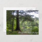 Lakeside Woodland Briefkaart (Voorkant / Achterkant)