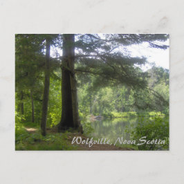 Lakeside Woodland Briefkaart