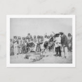 Lakota Indians die foto's van vee maken Briefkaart (Voorkant)