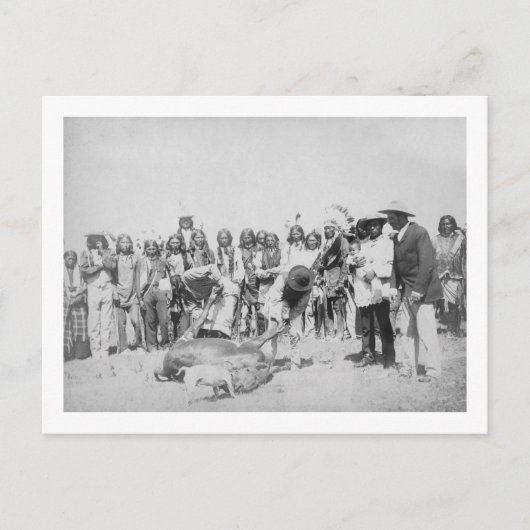 Lakota Indians die foto's van vee maken Briefkaart (Voorkant)