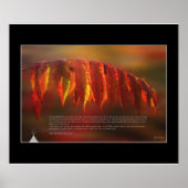 Lakota Prayer Poster (Voorkant)