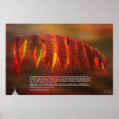 Lakota Prayer Poster (Voorkant)