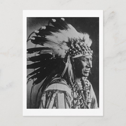 Lakota Sioux  Chief White Swan Briefkaart (Voorkant)