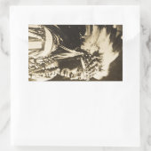 Lakota Sioux Chief White Swan Rechthoekige Sticker (Tas)