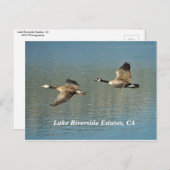 Lakw Riverside Estates, CA Briefkaart (Voorkant / Achterkant)