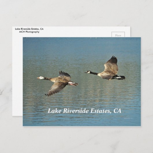 Lakw Riverside Estates, CA Briefkaart (Voorkant / Achterkant)