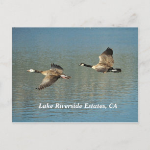 Lakw Riverside Estates, CA Briefkaart
