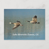 Lakw Riverside Estates, CA Briefkaart (Voorkant)