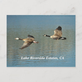 Lakw Riverside Estates, CA Briefkaart
