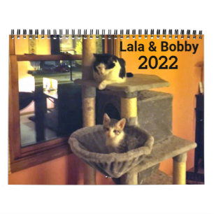 Lala & Bobby 2022 Personalized Cats Calendar Kalender