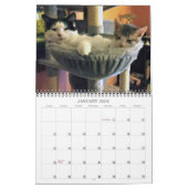 Lala & Bobby 2022 Personalized Cats Calendar Kalender (Jan 2026)