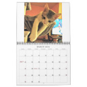 Lala & Bobby 2022 Personalized Cats Calendar Kalender (Mar 2026)