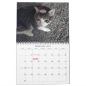 Lala & Bobby gepersonaliseerde kattenkalender 2024 Kalender (Feb 2027)