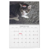 Lala & Bobby gepersonaliseerde kattenkalender 2024 Kalender (Feb 2026)