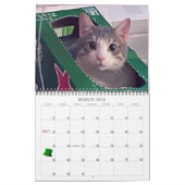 Lala & Bobby gepersonaliseerde kattenkalender 2024 Kalender (Mar 2026)
