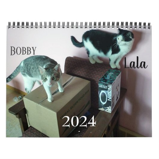Lala & Bobby gepersonaliseerde kattenkalender 2024 Kalender (Hoes)