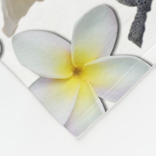 Lala de Kaketoe Vijf Poses Gooi Deken (Hoek)