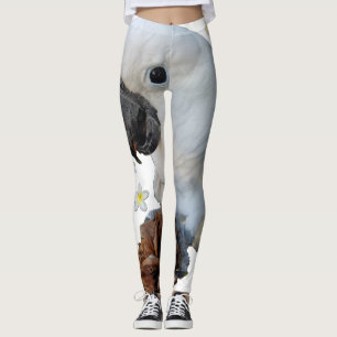 Lala The Cockato met Pine Cone en Plumeria Leggings