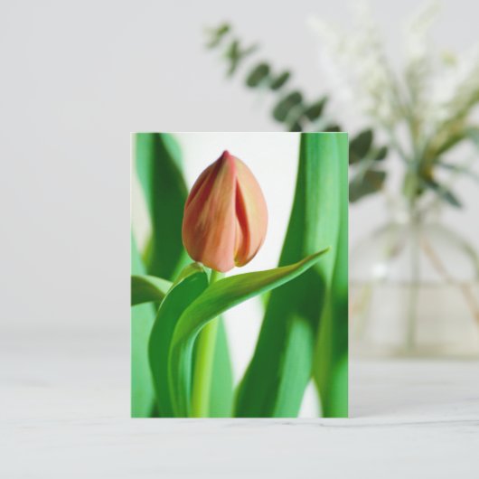 Lala Tulip Briefkaart (Staand voorkant)
