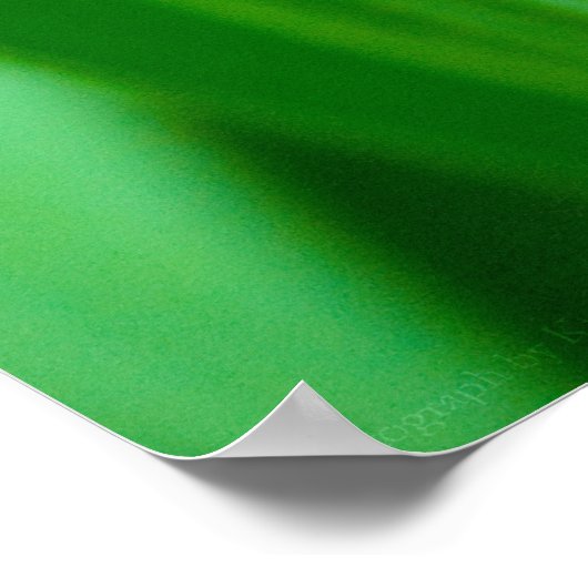 lala Tulip Print (Hoek)