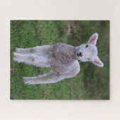 Lam Baby Schaap Boerderij Dier Legpuzzel (Horizontaal)