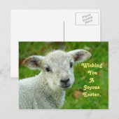 lam feestdagenkaart (Voorkant / Achterkant)