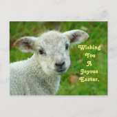 lam feestdagenkaart (Voorkant)