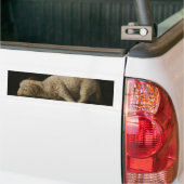 Lam Gods (Agnus Dei) (Offerdier) Bumpersticker (Op Truck)